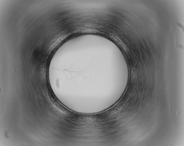 X0000096390533200802141457