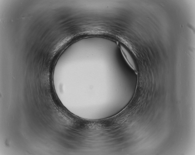 X0000096390535200802141457