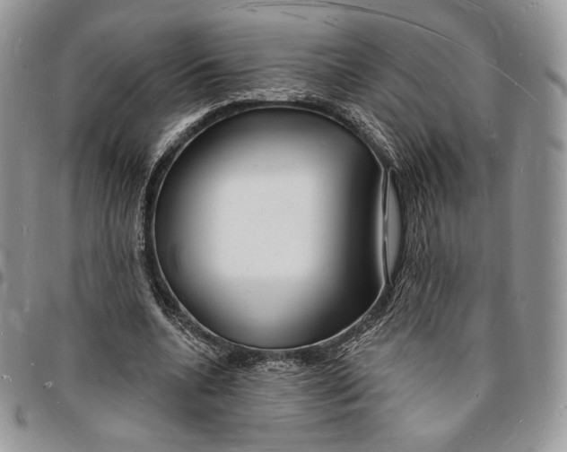 X0000096390536200802141457