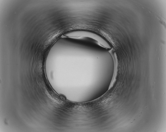 X0000096390538200802141457