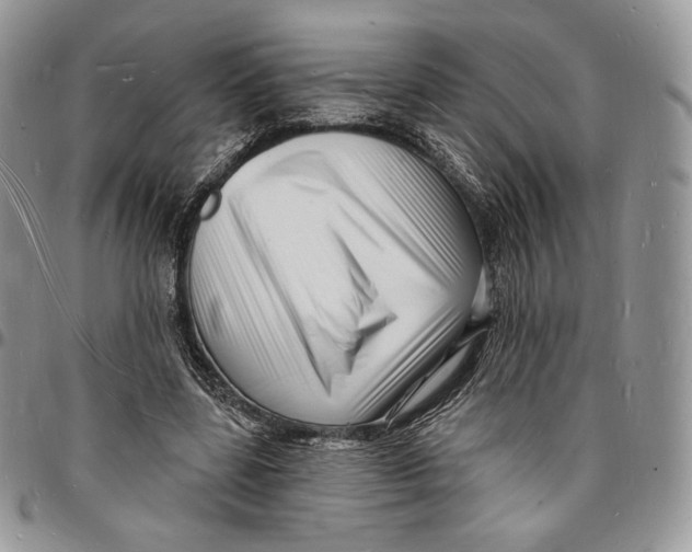 X0000096390539200802141457