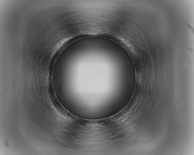 X0000096390540200802141457