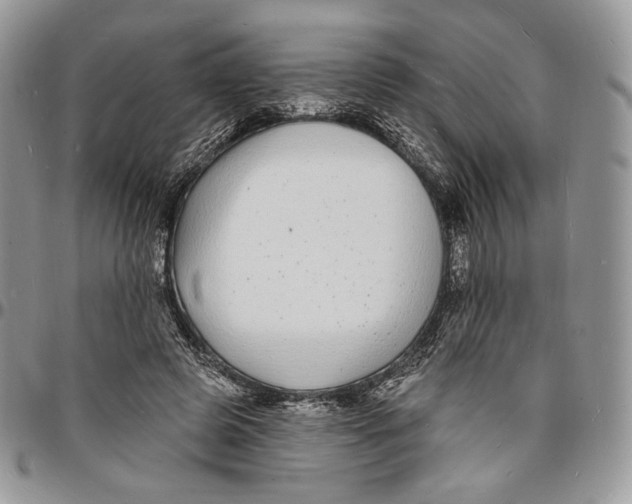 X0000096390545200802141457