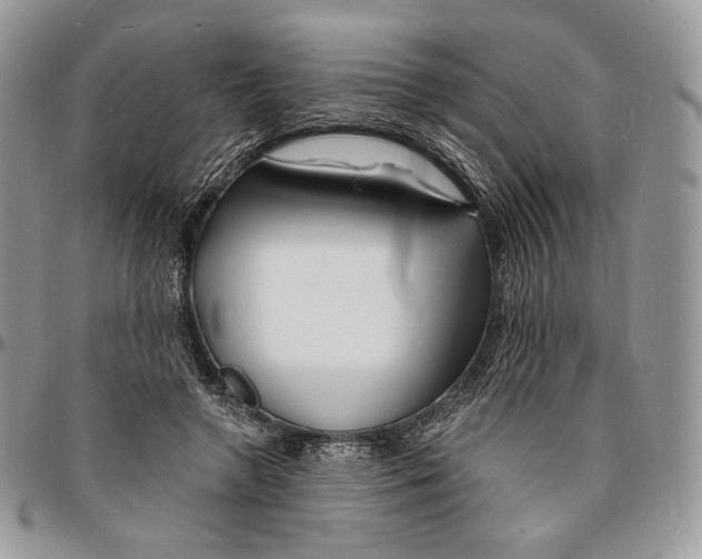 X0000096390546200802141457