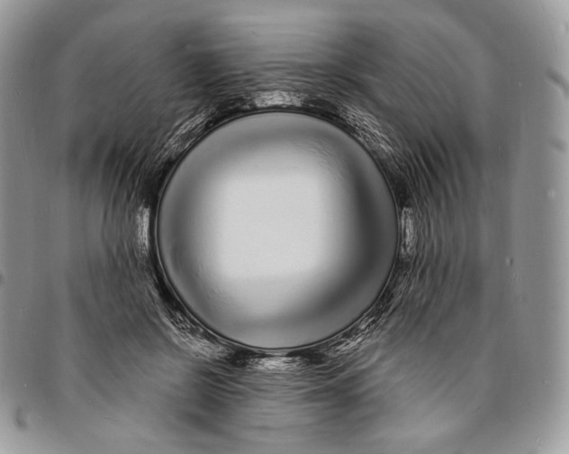 X0000096390550200802141457