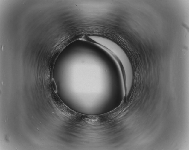 X0000096390552200802141457