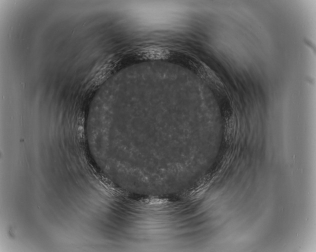 X0000096390553200802141457