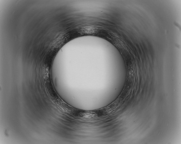 X0000096390555200802141457