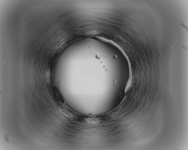 X0000096390556200802141457
