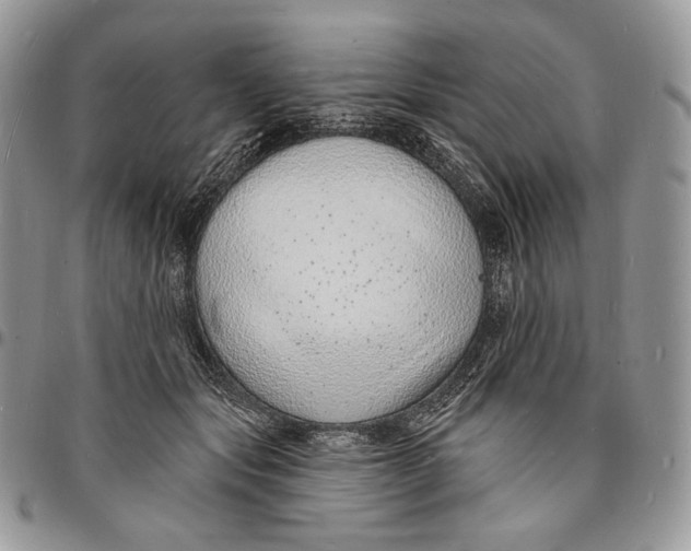 X0000096390557200802141457