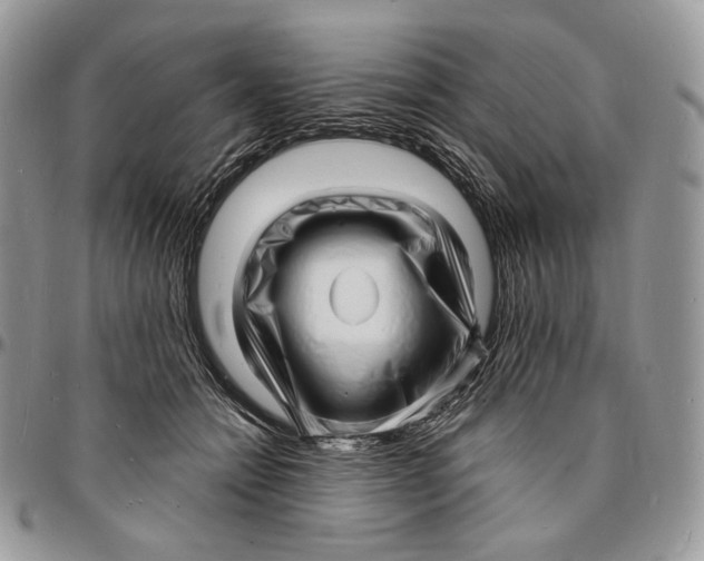 X0000096390558200802141457