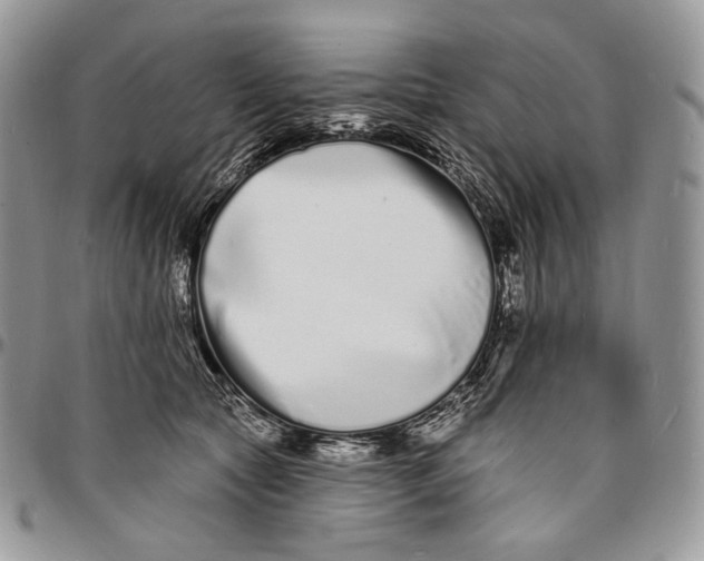 X0000096390561200802141457