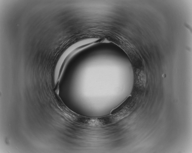 X0000096390562200802141457