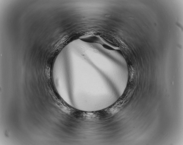 X0000096390565200802141458