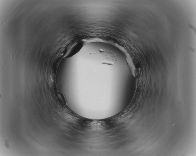 X0000096390566200802141458