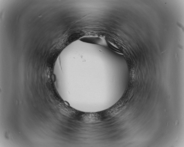 X0000096390567200802141458