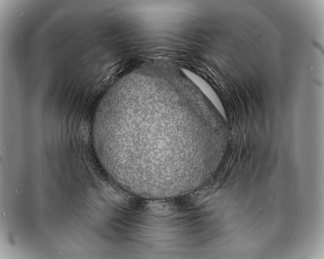 X0000096390568200802141458