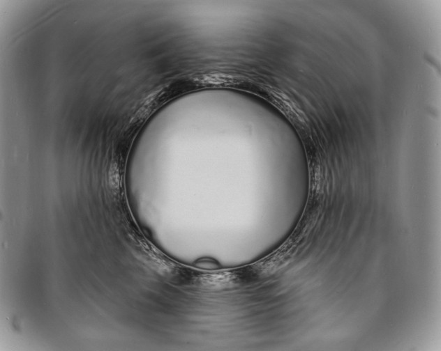 X0000096390569200802141458