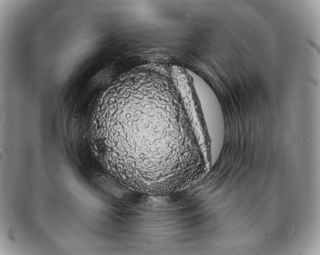 X0000096390573200802141458