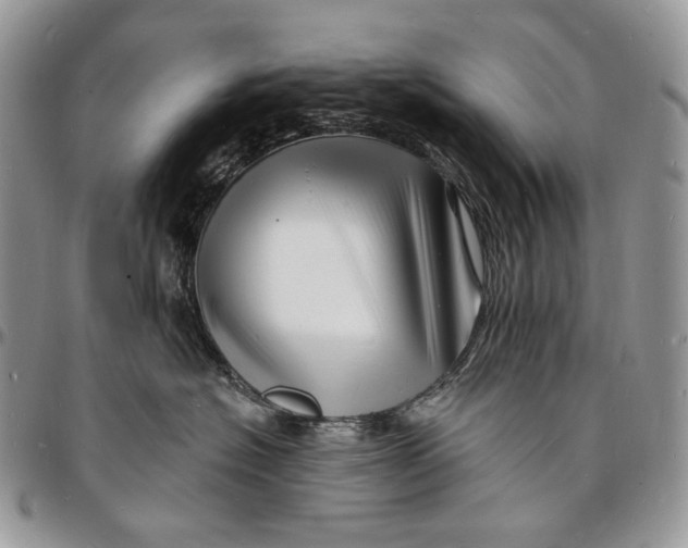 X0000096390574200802141458