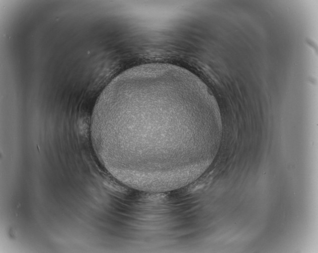 X0000096390576200802141458