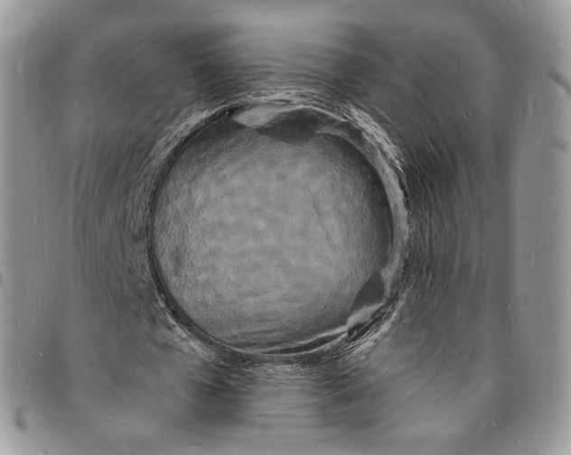 X0000096390577200802141457