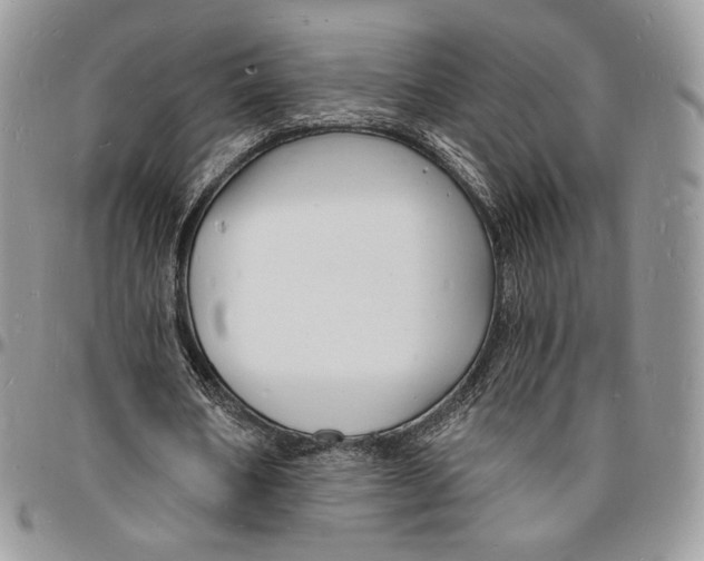X0000096390578200802141457
