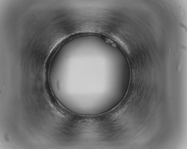 X0000096390580200802141457
