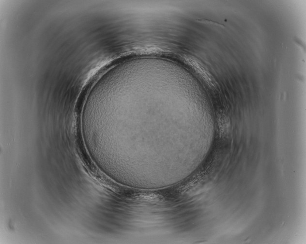 X0000096390583200802141457