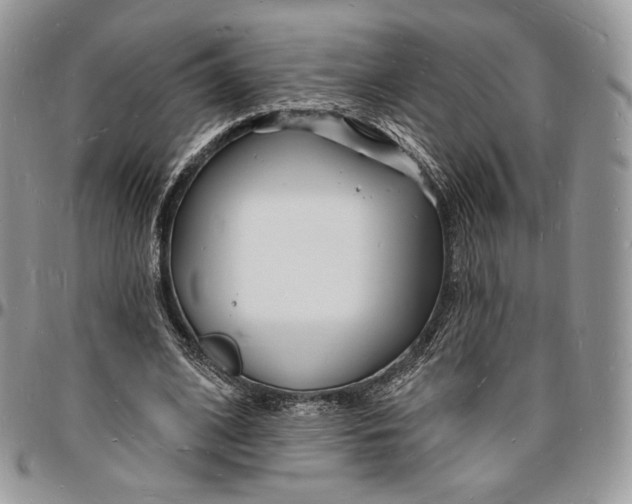 X0000096390584200802141457