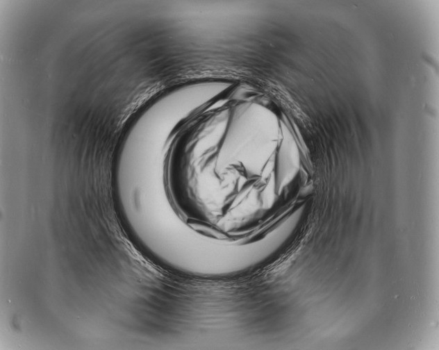 X0000096390585200802141457