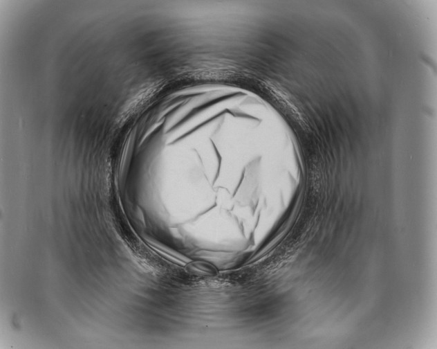 X0000096390586200802141457