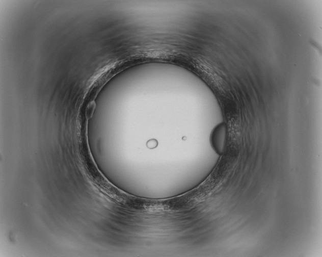 X0000096390587200802141457