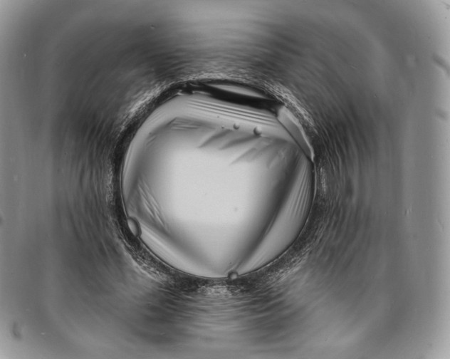 X0000096390588200802141457