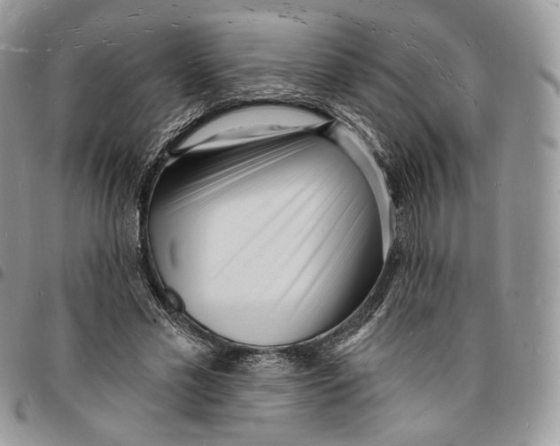 X0000096390589200802141457
