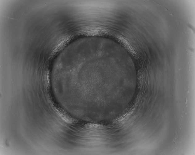 X0000096390590200802141457