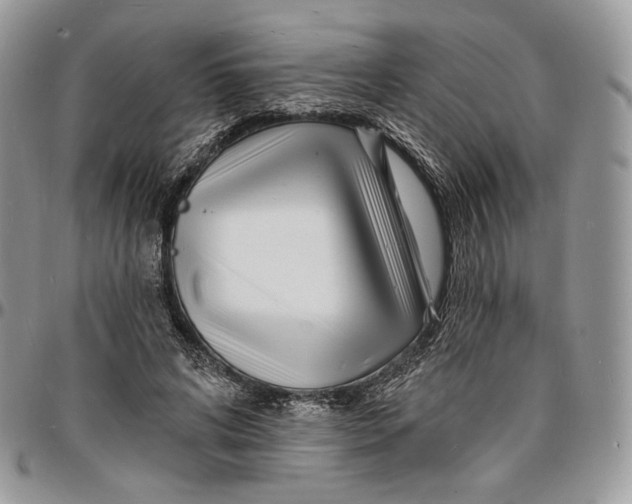 X0000096390592200802141457