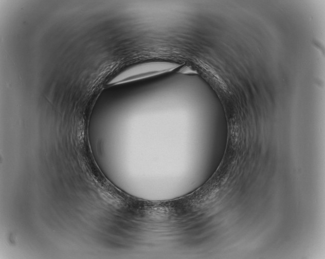 X0000096390593200802141457