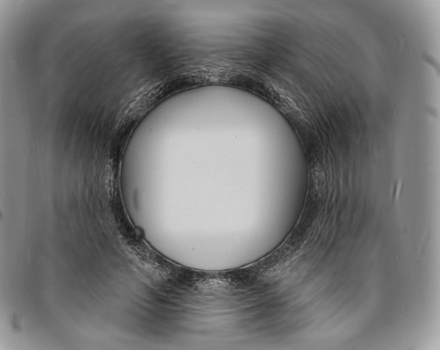 X0000096390594200802141457
