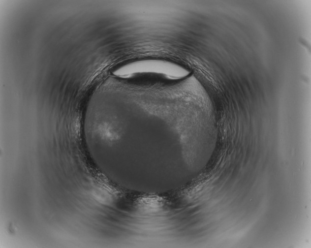 X0000096390595200802141457
