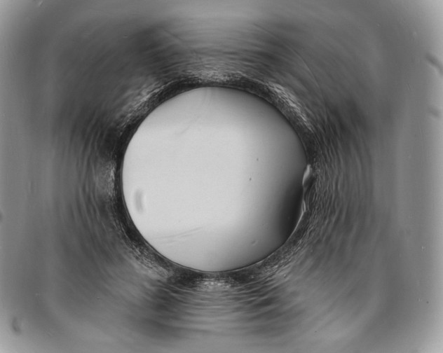 X0000096390596200802141457