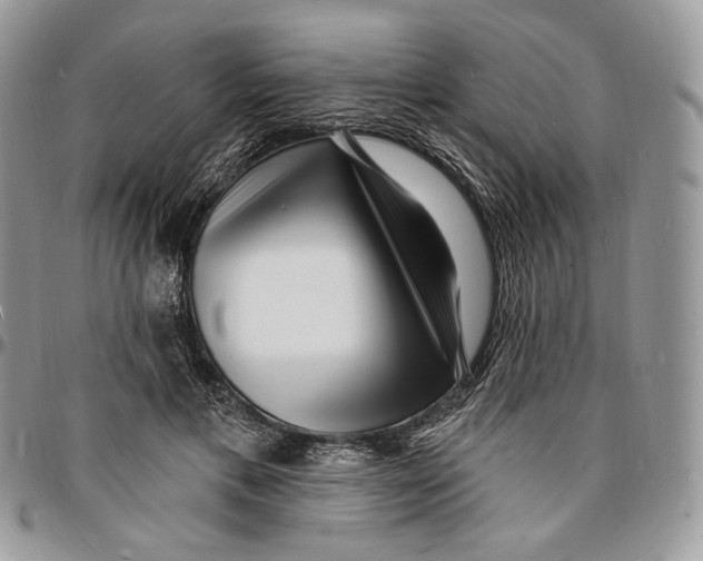 X0000096390597200802141457