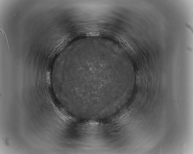 X0000096390598200802141457