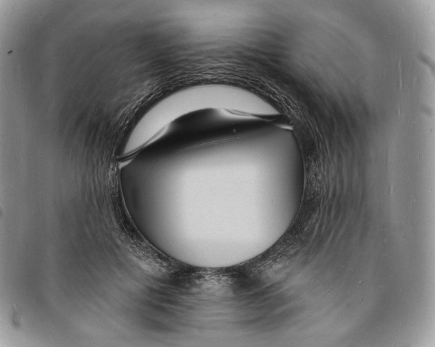 X0000096390601200802141457