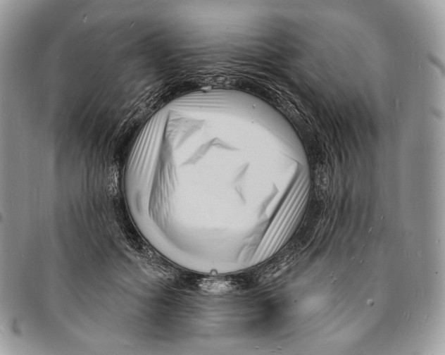 X0000096390602200802141457