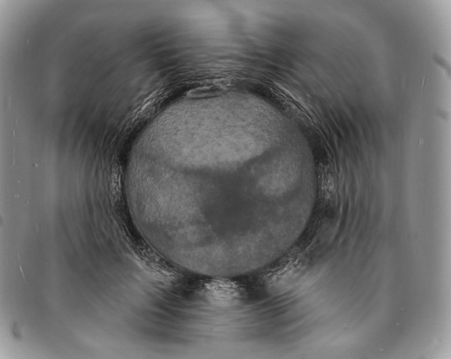 X0000096390603200802141456