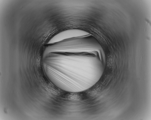 X0000096390604200802141456