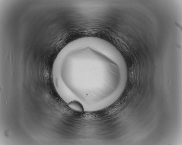 X0000096390608200802141456