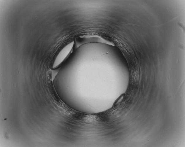 X0000096390609200802141456