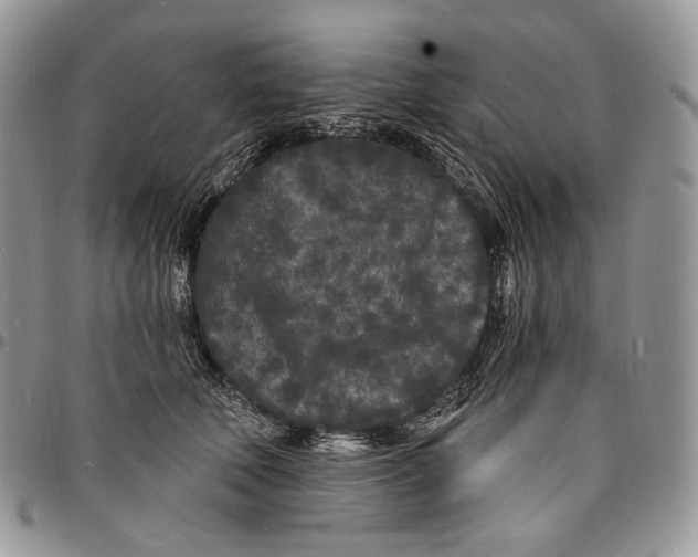 X0000096390610200802141456